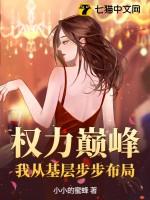 权力巅峰:我从基层步步布局 权力巅峰:我从基层步步布局